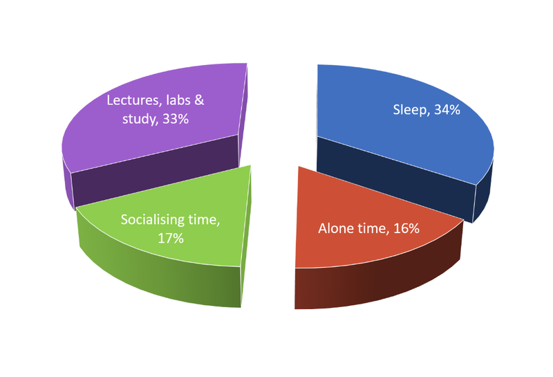 Pie chart showing the healthy proportions of various activities: lectures, labs, and study - 33%, sleep - 34%, socialising time - 17%, alone time - 16%