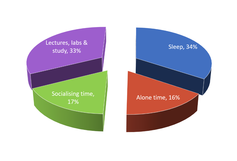 Pie chart showing the healty proportions of varius activities: lectures, labs, and study - 33%, sleep - 34%, socialising time - 17%, alone time - 16%
